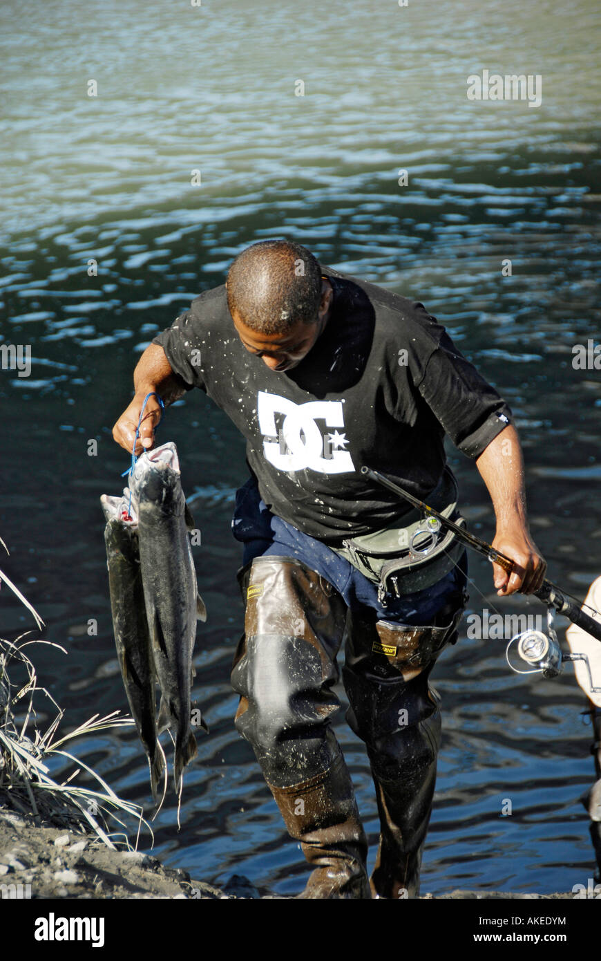 Les pêcheurs La pêche du saumon en Alaska Railroad Ship Creek dans la zone de pêche du centre-ville d'Anchorage en Alaska AK U S United States Banque D'Images