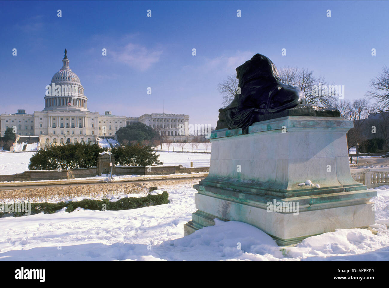 Us capitol, washington d.c., usa Banque D'Images