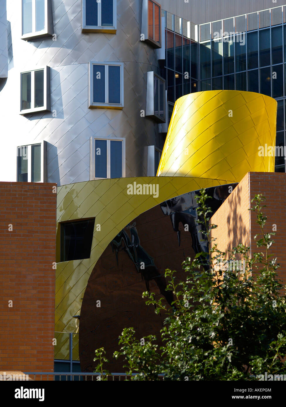 Le Centre de Stata architecte Frank Gehry au Massachusetts Institute of Technology Cambridge Massachusetts USA Banque D'Images
