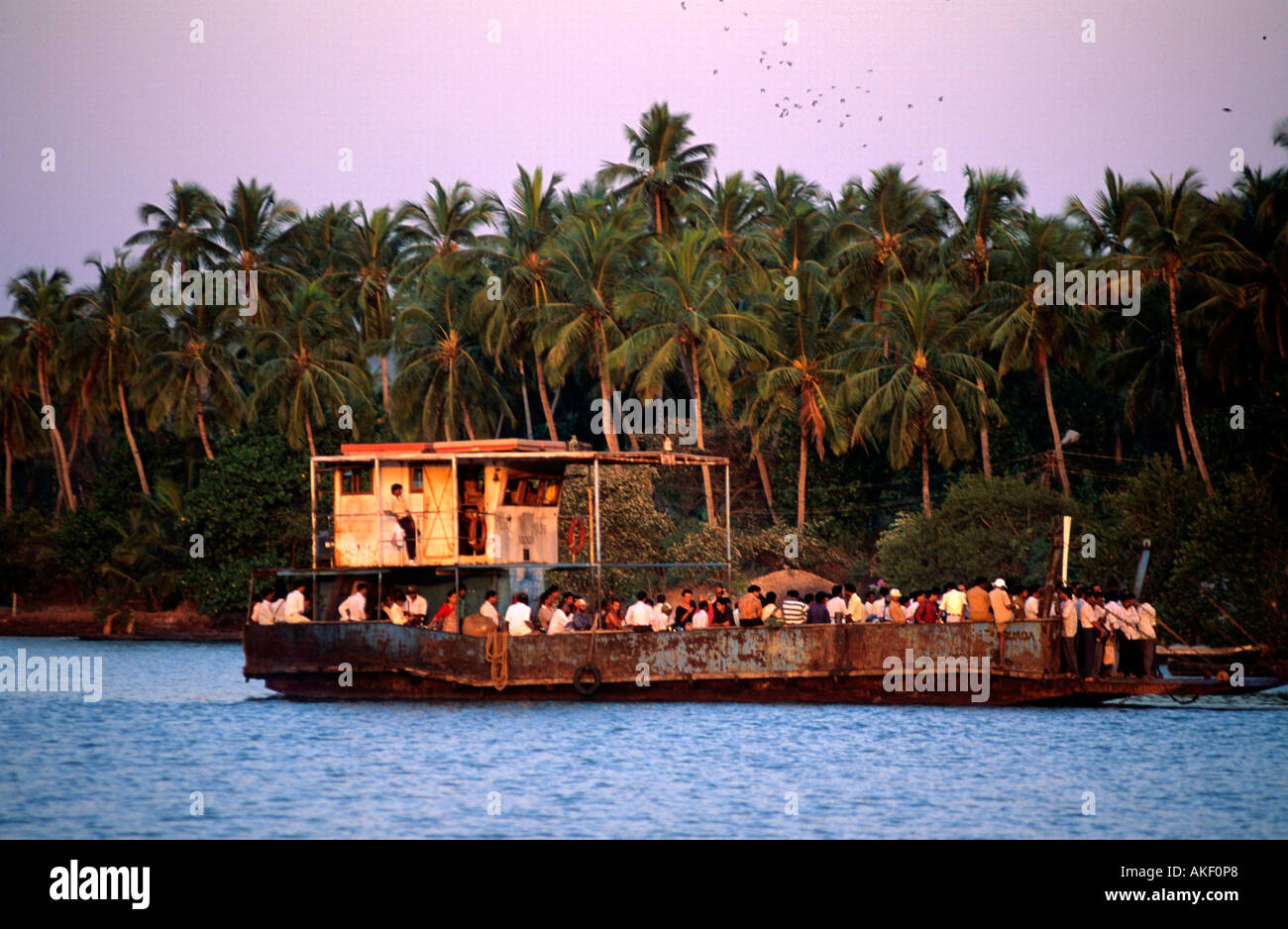 Indien, Goa, District Bardez, Siolim, Fähre über den Chapora-River Banque D'Images