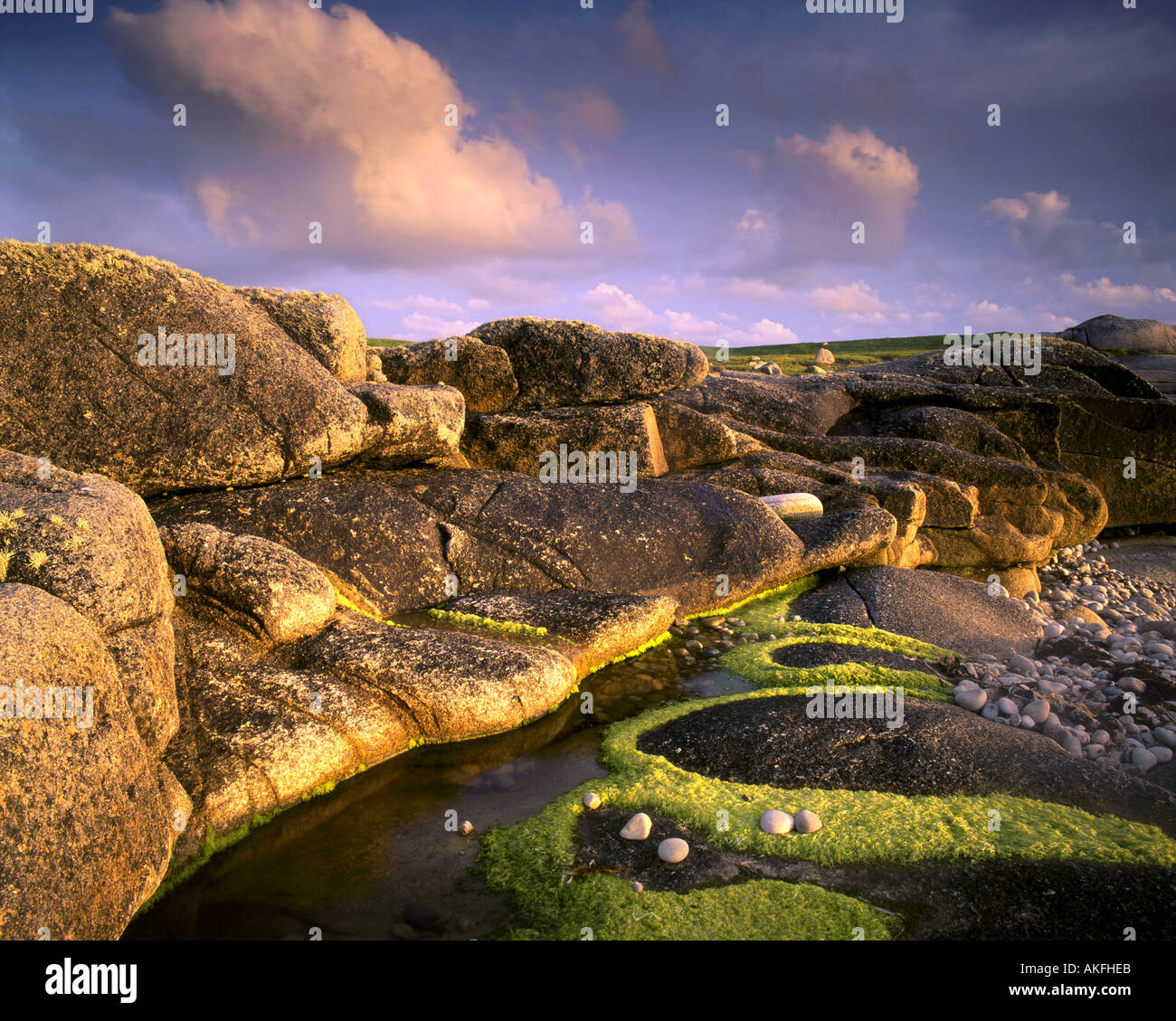 IE - CONNEMARA : Détails sur l'île côtière Omey Banque D'Images