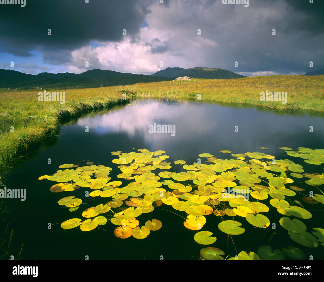 IE - CONNEMARA : Ahalia Habillement Rivière à Maam Cross Banque D'Images