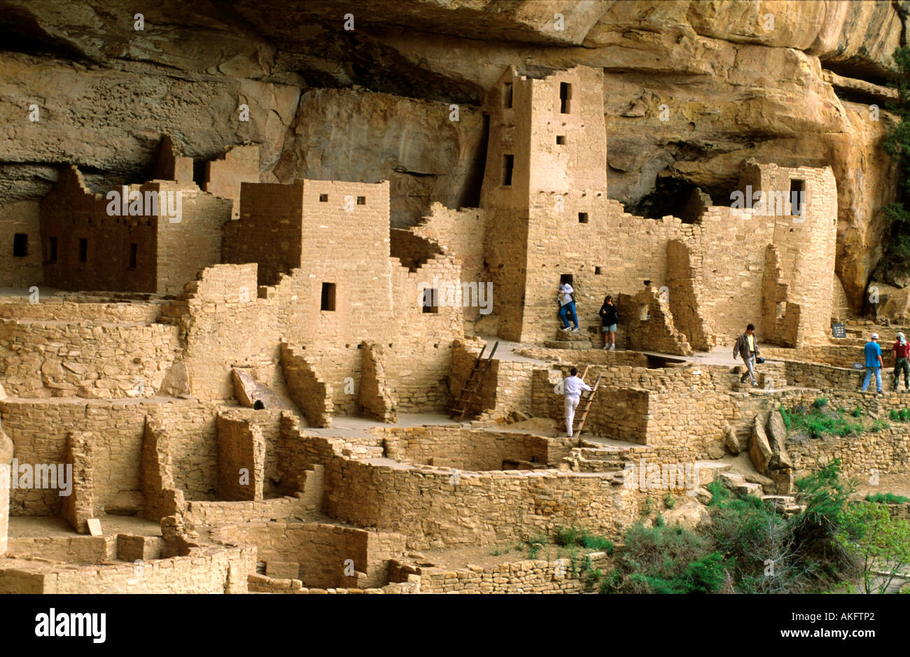 États-Unis, Colorado, Mesa Verde Nationalpark, Cliff Palace, la plus grande falaise du parc national de Mesa Verde Banque D'Images