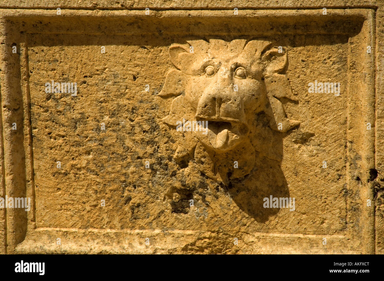 Close up of Lion sculpture à Baalbek Banque D'Images