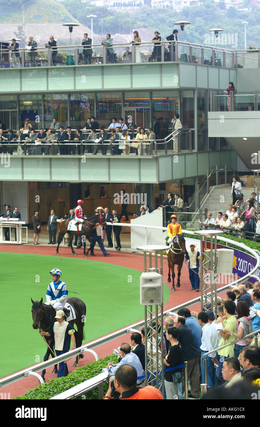 Horse and Jockey show parade à l'hippodrome de Sha Tin à Hong Kong, à quelques minutes avant la course commence. Banque D'Images