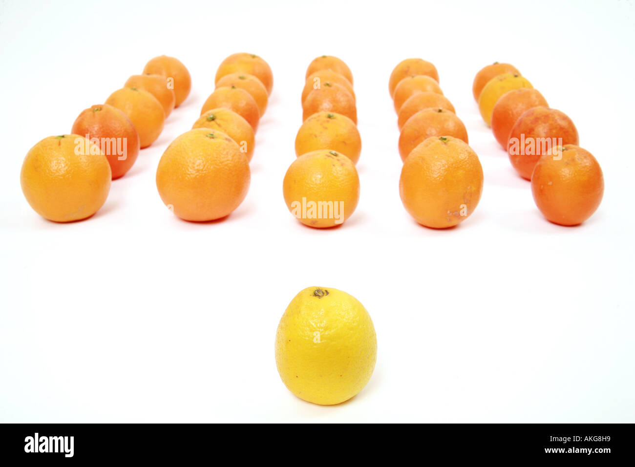 Le citron et les oranges sur un fond blanc symbolisant l'équipe leadership Banque D'Images