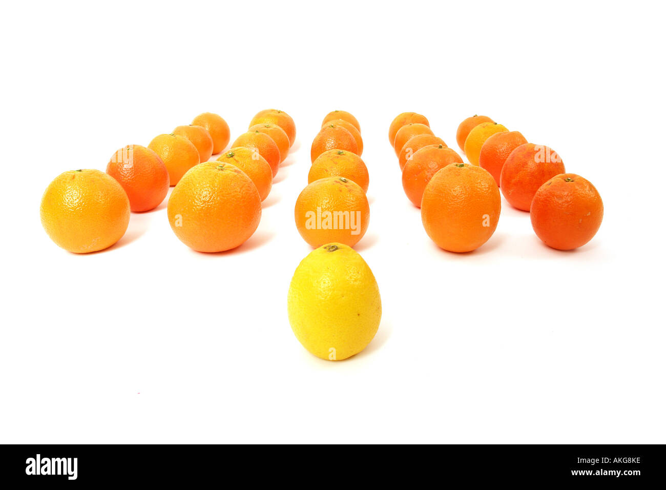 Le citron et les oranges sur un fond blanc symbolisant l'équipe leadership Banque D'Images
