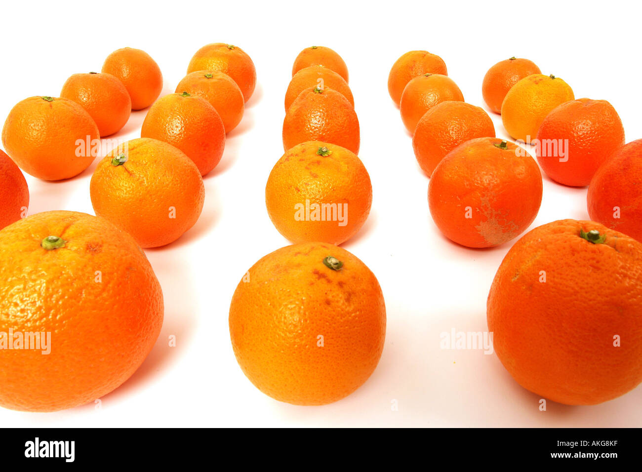 Les oranges disposées sur un fond blanc symbolisant l'équipe leadership Banque D'Images