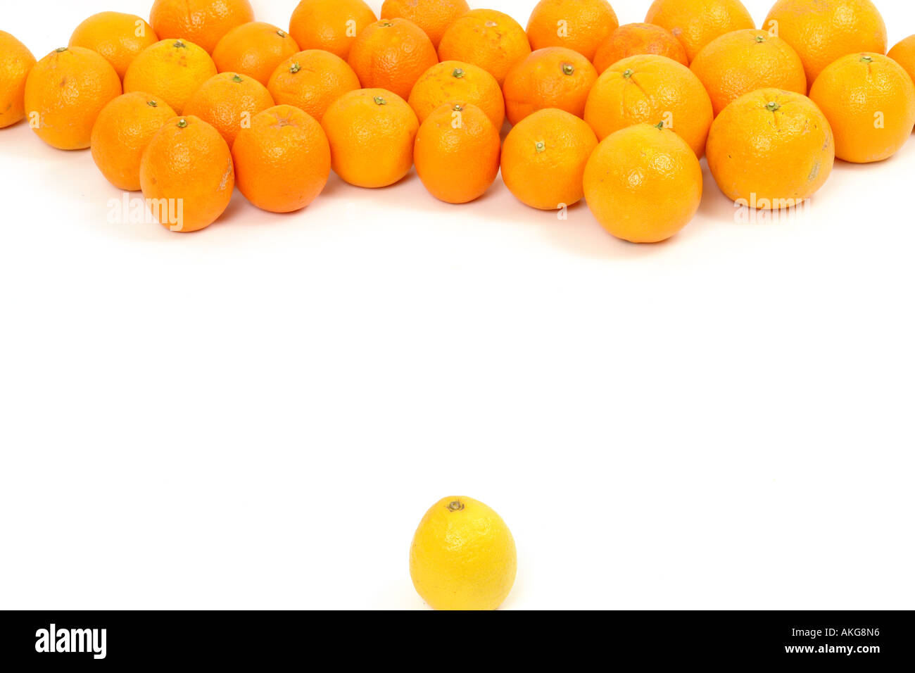Le citron et les oranges sur un fond blanc symbolisant la confrontation Banque D'Images