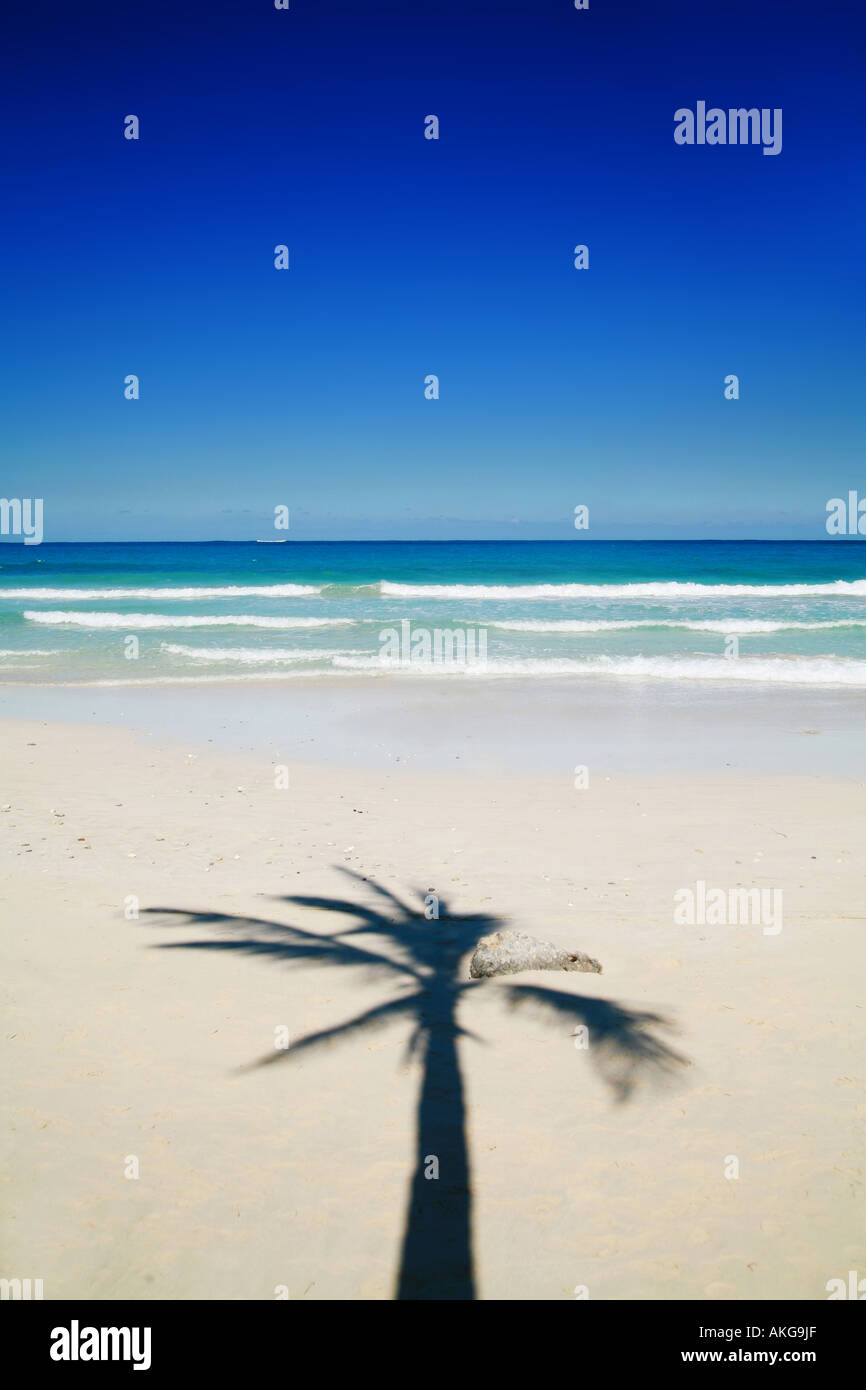 Une belle scène de l'île tropicale Banque D'Images