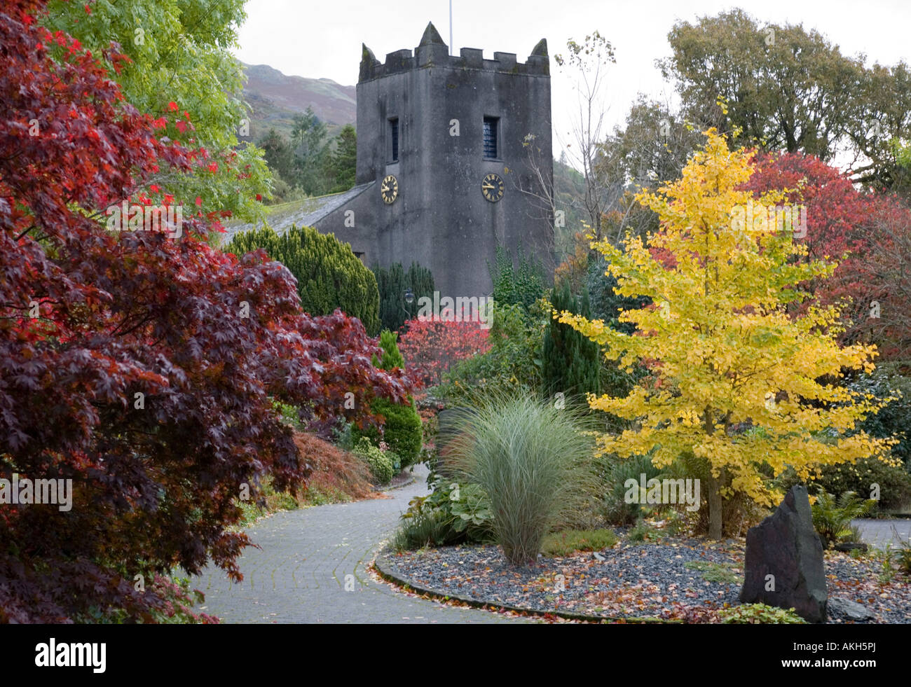 Couleur d'automne de l'ACERS autour de l'église St Oswalds Grasmere Banque D'Images