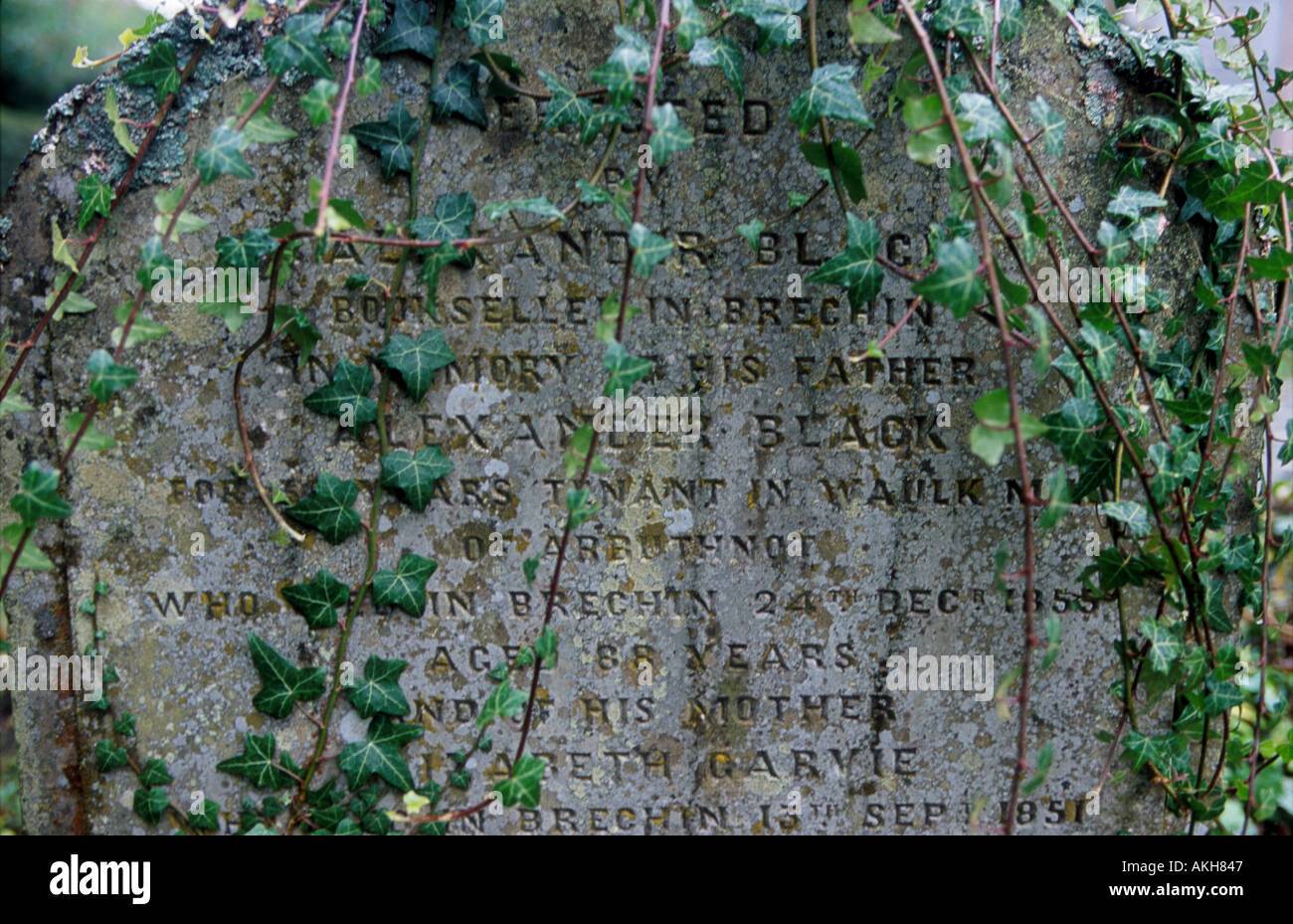 Une pierre tombale dans le cimetière à Brechin Cathedral et célèbre tour ronde picte estimée à environ 1000 ans. Banque D'Images