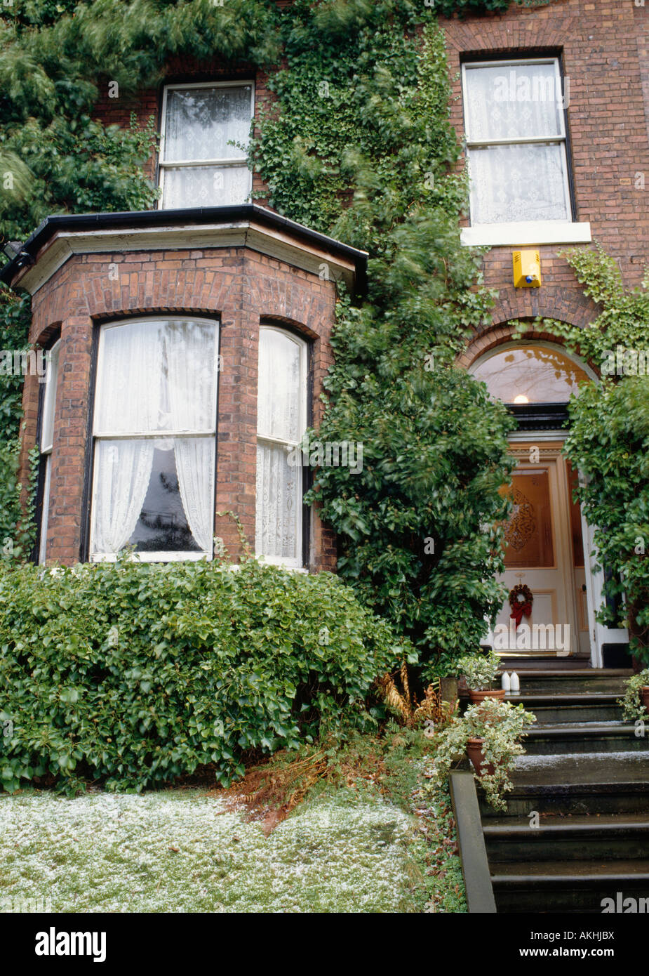 Couverture agrafée en face de fenêtre en baie de maison traditionnelle avec des étapes jusqu'à la porte et sur les murs d'escalade ivy Banque D'Images