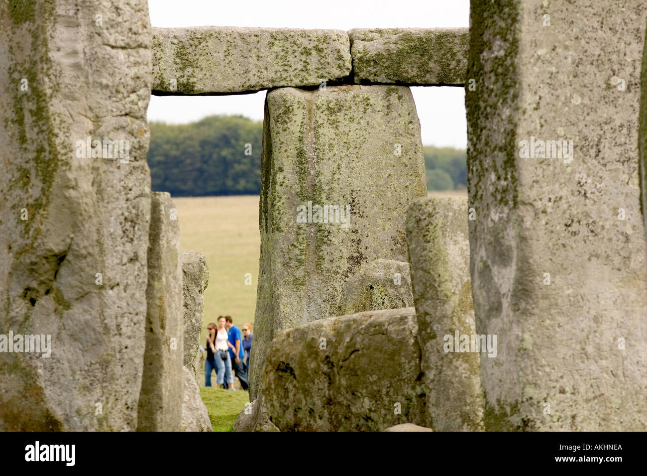 Détail de Stonehenge Wiltshire UK le cercle de pierre préhistorique Banque D'Images