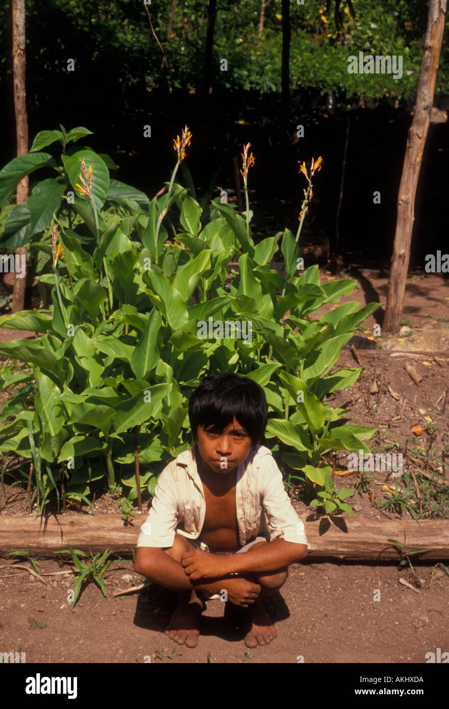 1 Un garçon mexicain garçon maya jeune garçon enfant mâle sur l'exploitation familiale, le contact oculaire, vue avant, Tulum, l'État de Quintana Roo, Yucatan, Mexique Banque D'Images