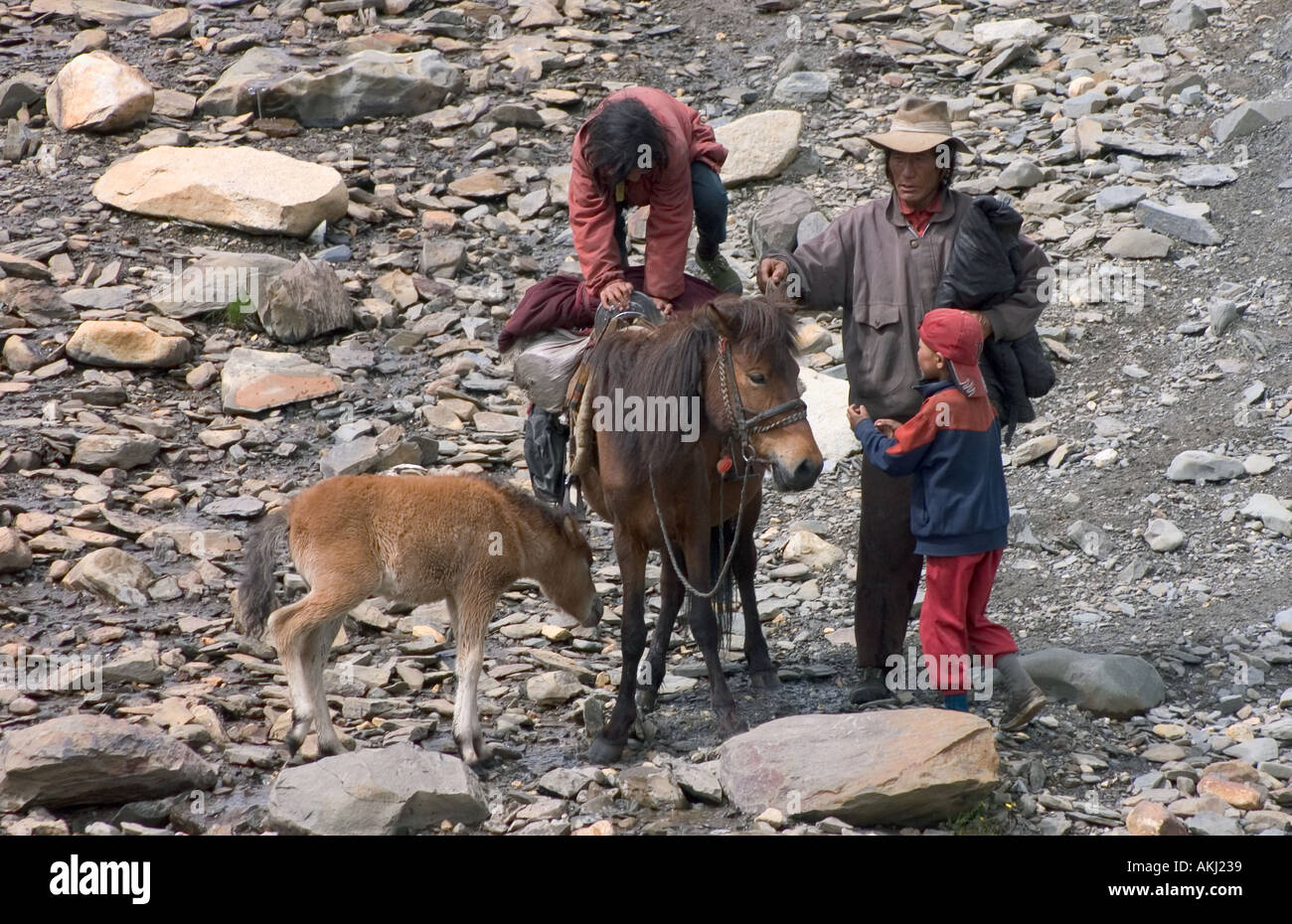 Une famille de drokpas nomands à cheval avec des poulains dans les hautes terres de la province du Sichuan, Chine Tibet Kham Banque D'Images