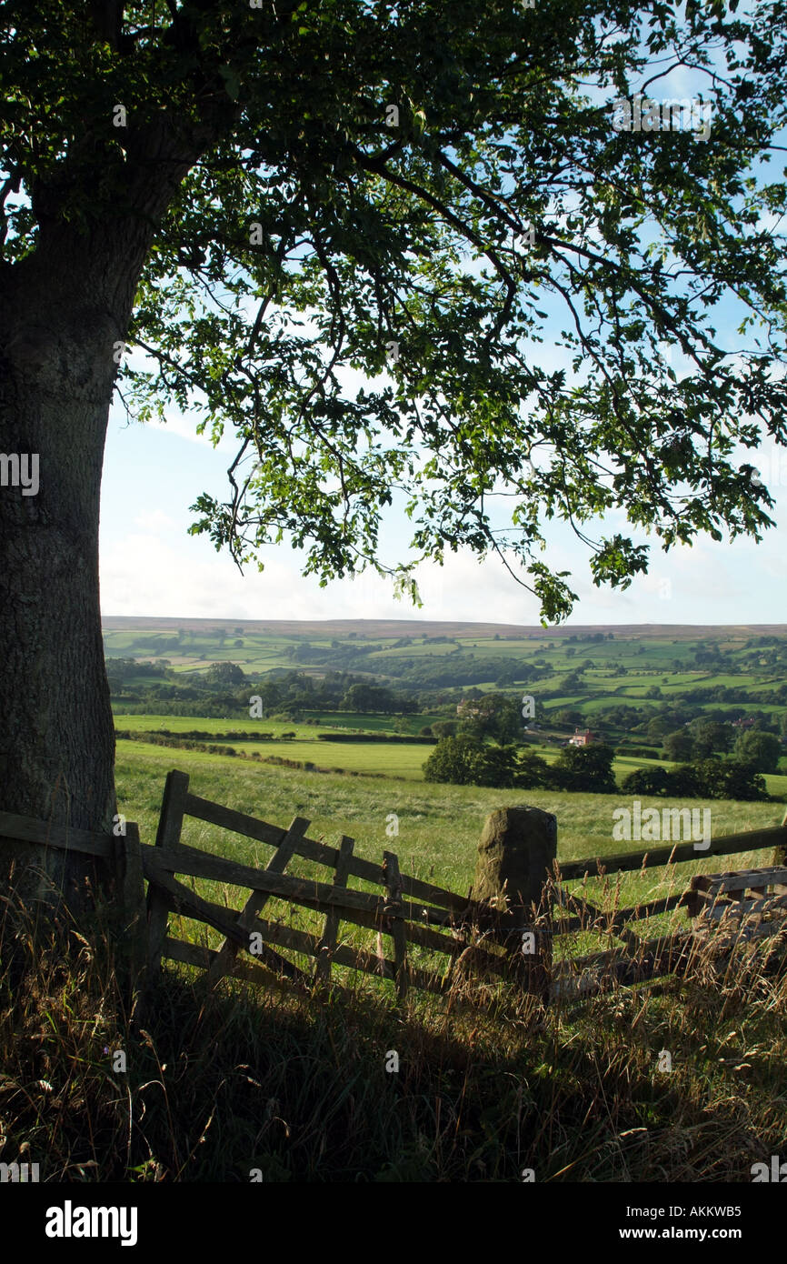 Campagne anglaise pittoresque région de North York Moors Yorkshire du nord de l'Angleterre Angleterre Europe Banque D'Images