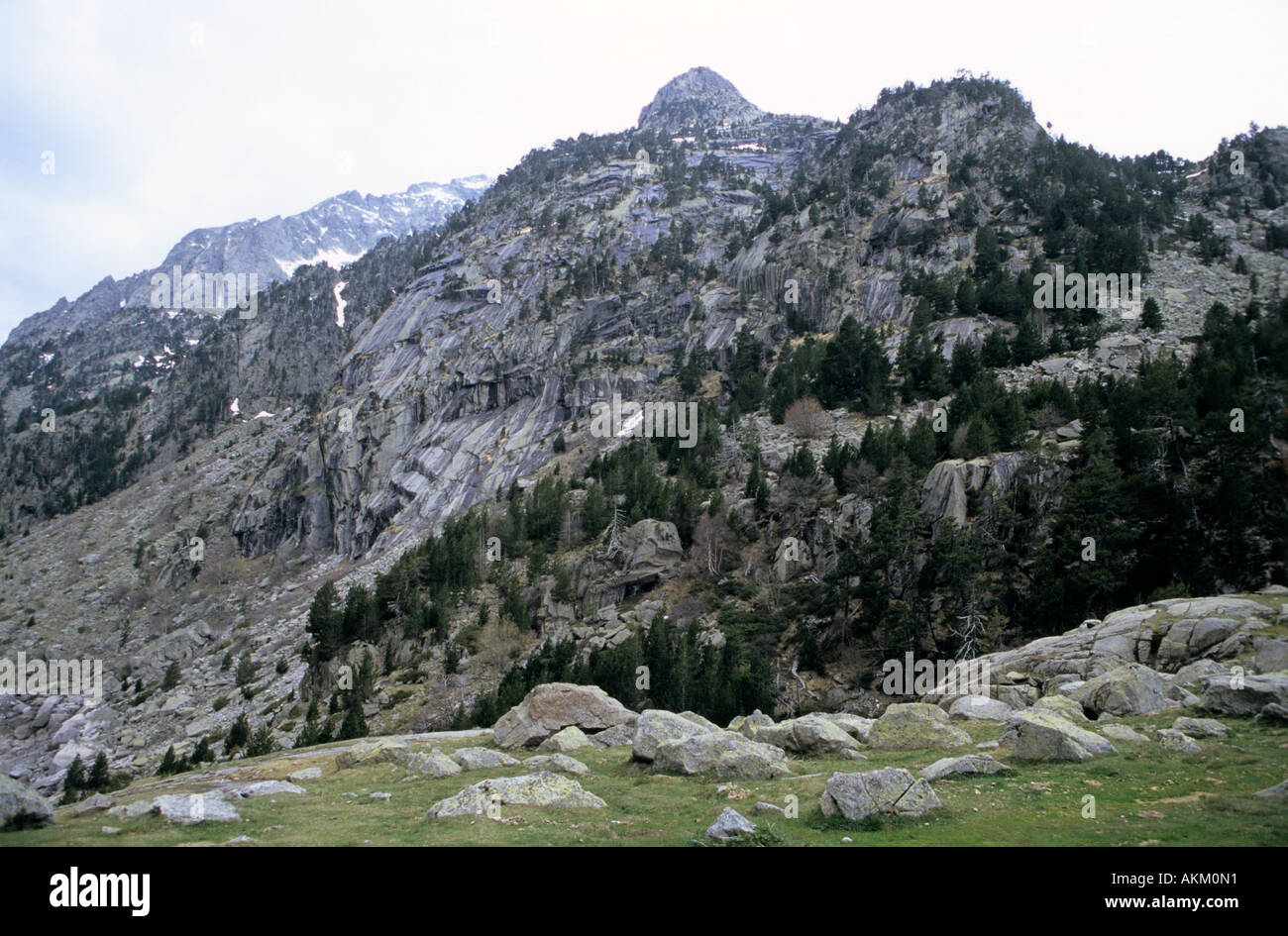 Paysage de montagne dans le parc national Aigüestortes Pyrénées Catalogne Espagne Banque D'Images