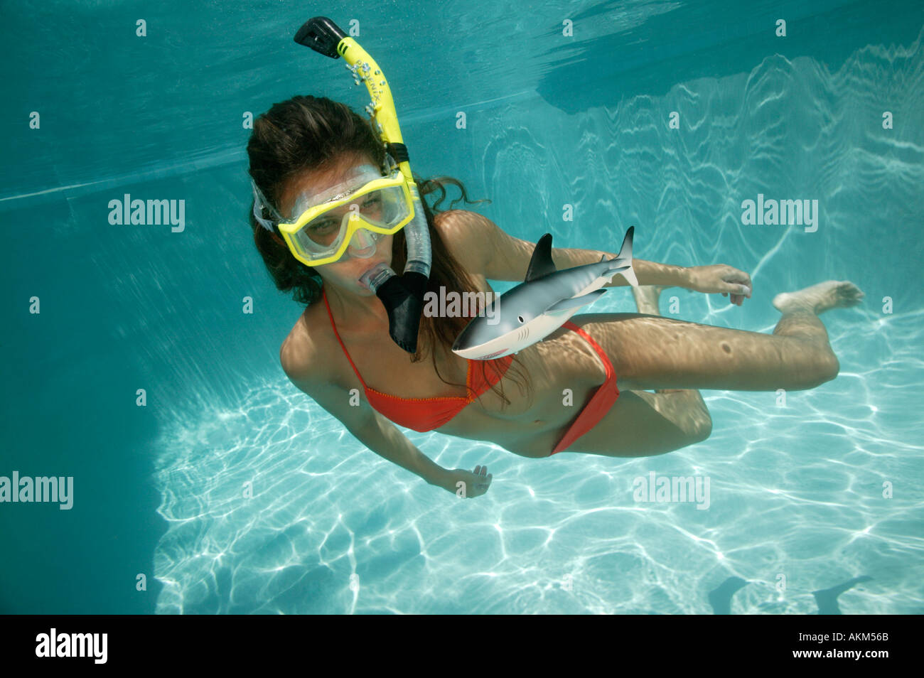 Woman snorkelling avec Toypedo jouet piscine requin Banque D'Images