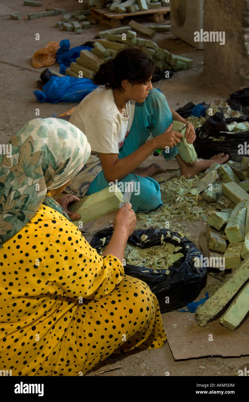 Les femmes travaillant dans l'usine de sap Banque D'Images
