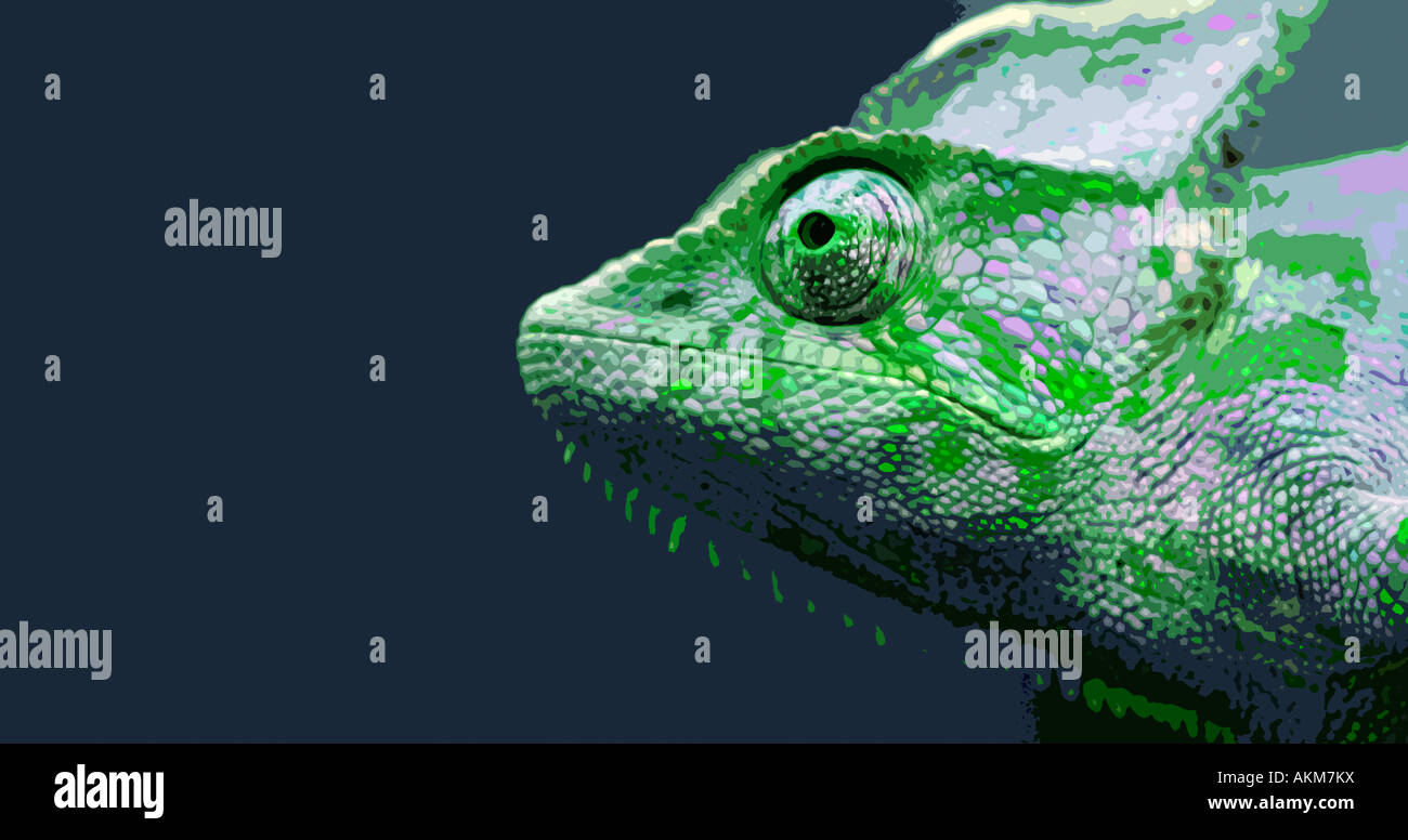 Caméléon. Photo illustration Banque D'Images