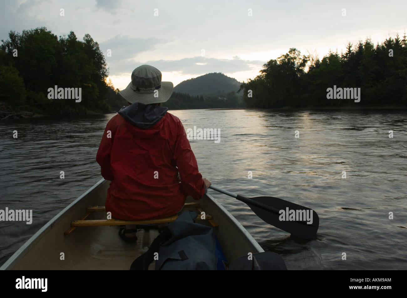 Canoéiste femelle à la tombée de la pluie sur la rivière Rouge, Laurentides, Québec, Canada Banque D'Images