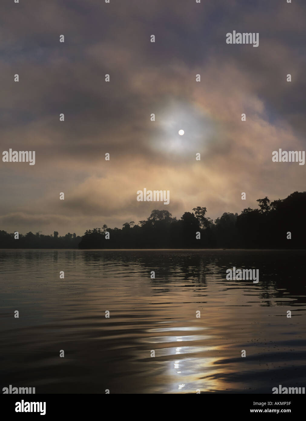 Soleil matinal sur la rivière Kinabatangan Bornéo Malaisie Banque D'Images
