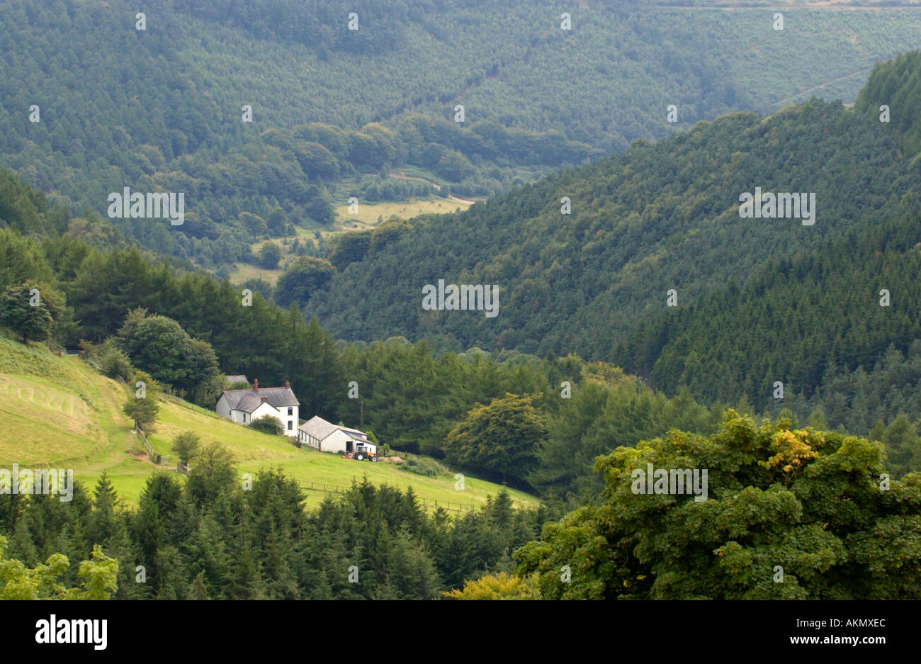 Ferme à distance vu de Cwmcarn Forest Drive South Wales UK Banque D'Images