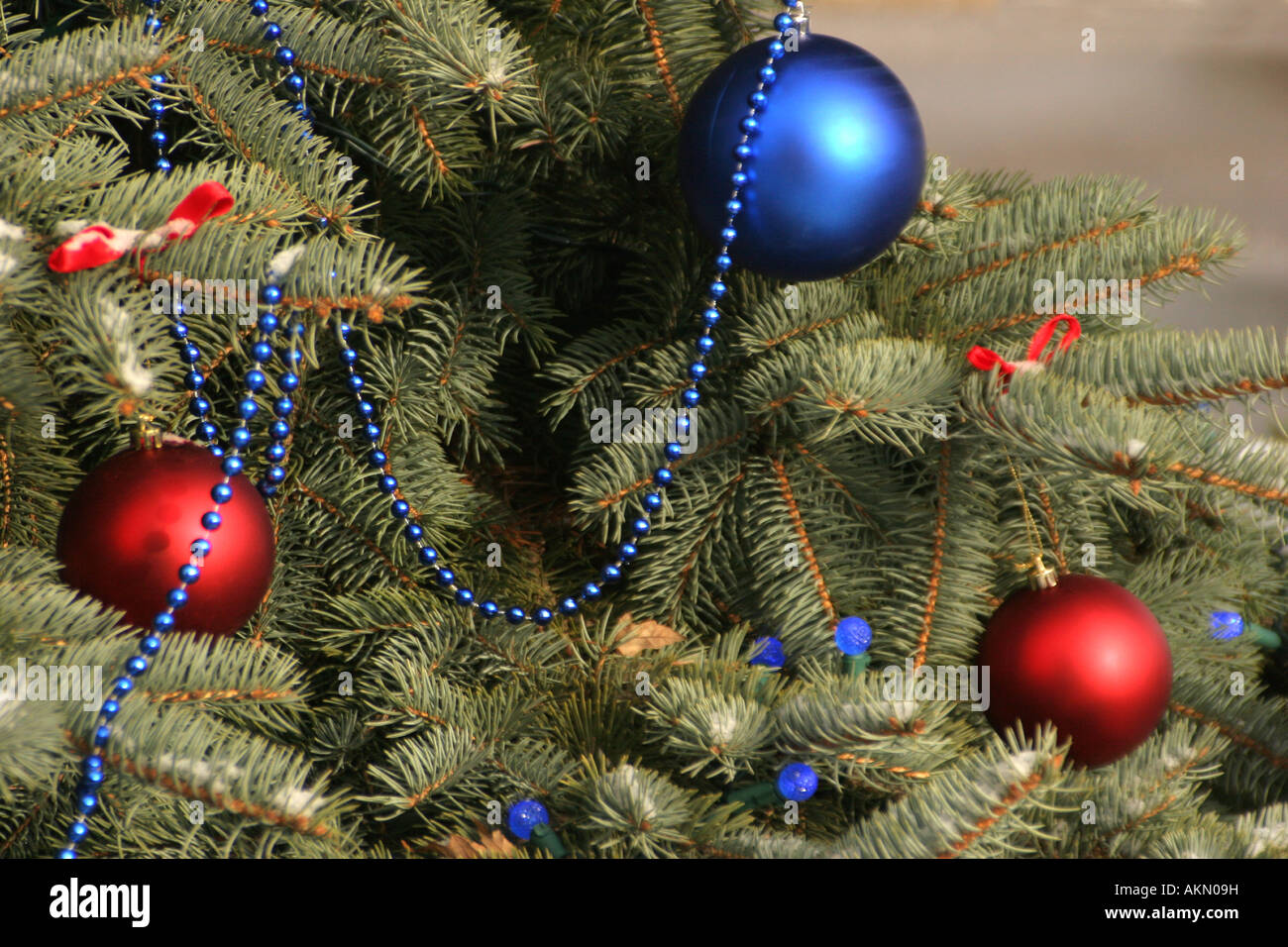 L'une bleue et deux décorations de Noël rouges étendus dehors sur un arbre de Noël Banque D'Images