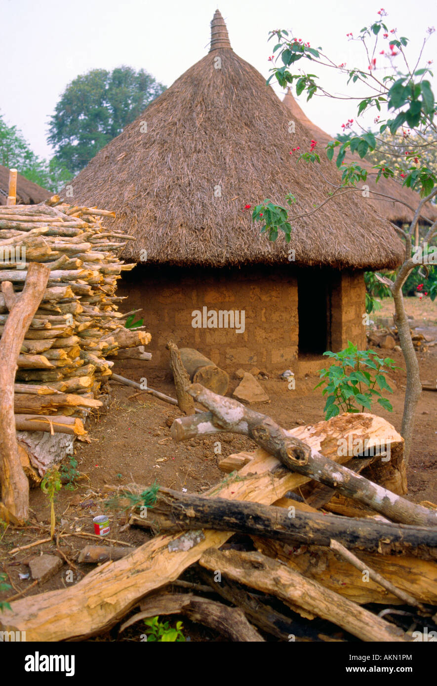 Maison Traditionnelle En Cote D Ivoire Ventana Blog