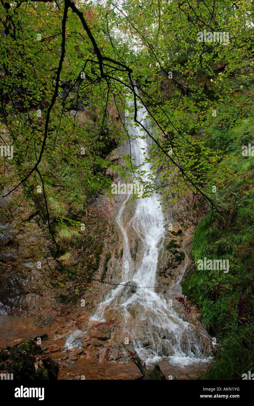 Queue de la jument grise,Cascade du nord du Pays de Galles conwy Banque D'Images