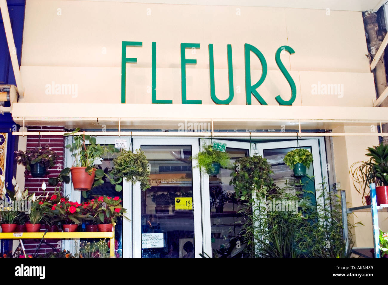 Paris France, Old Flower Shop, porte vitrée, petite entreprise, Fleur français, avant boutique vintage Banque D'Images