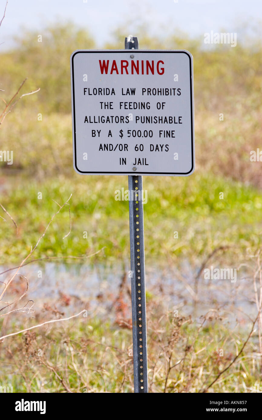 Don t nourrir les alligators signe sur l'William Bartram Piste à Payne s Prairie South de Gainesville, Floride, USA Banque D'Images