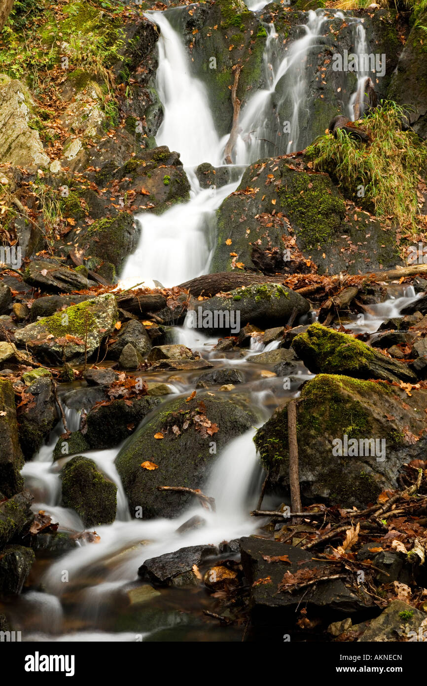 Tom Gill cascade dans le Lake District, Cumbria UK prises à l'automne sur le chemin de l'Tarn Hows Banque D'Images