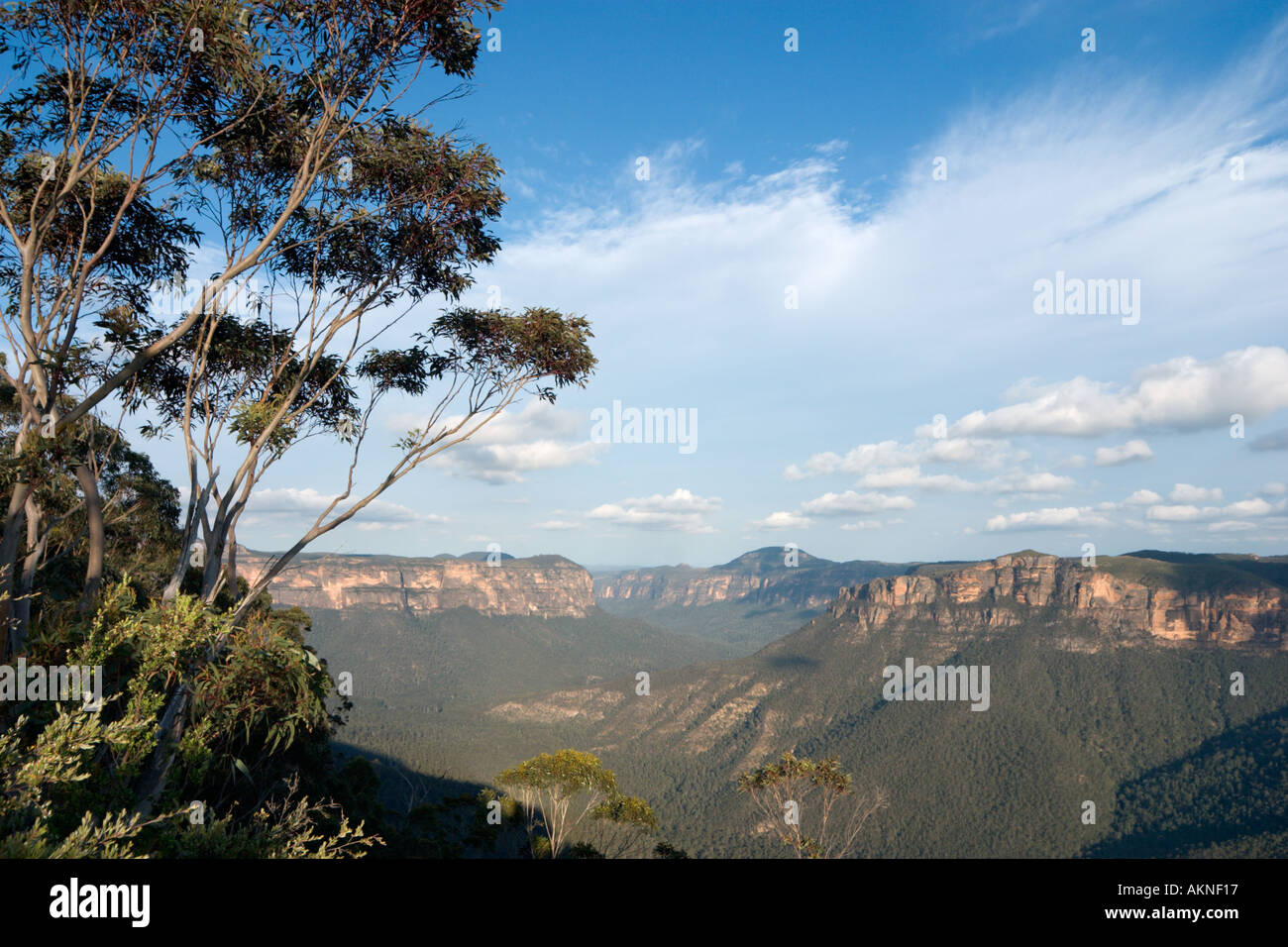 Pulpit Rock Lookout, Blackheath, Blue Mountains, New South Wales, Australia Banque D'Images