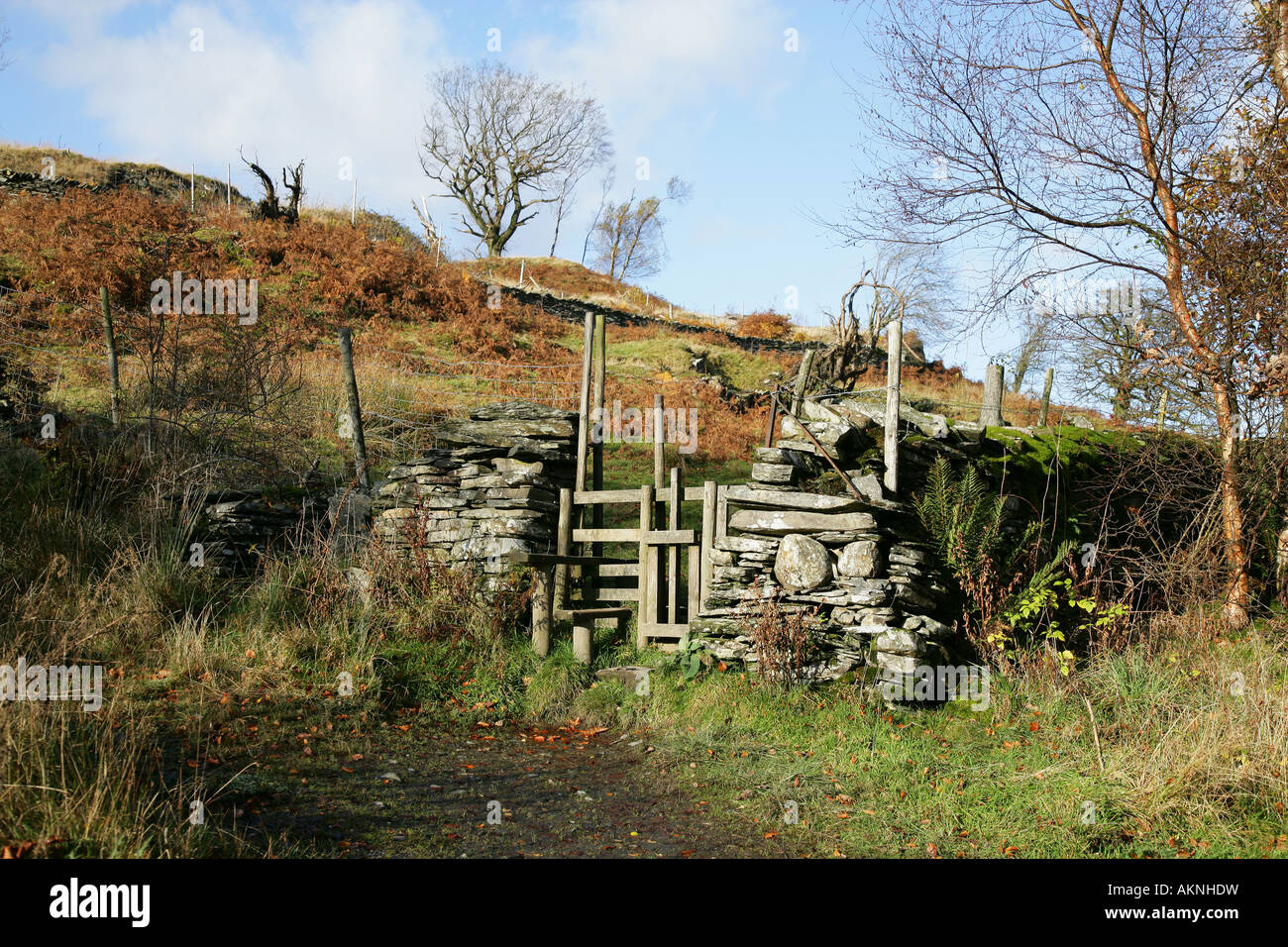 Un Stile sur sentier Tarn Hows 'Lake District National Park' Cumbria UK Banque D'Images