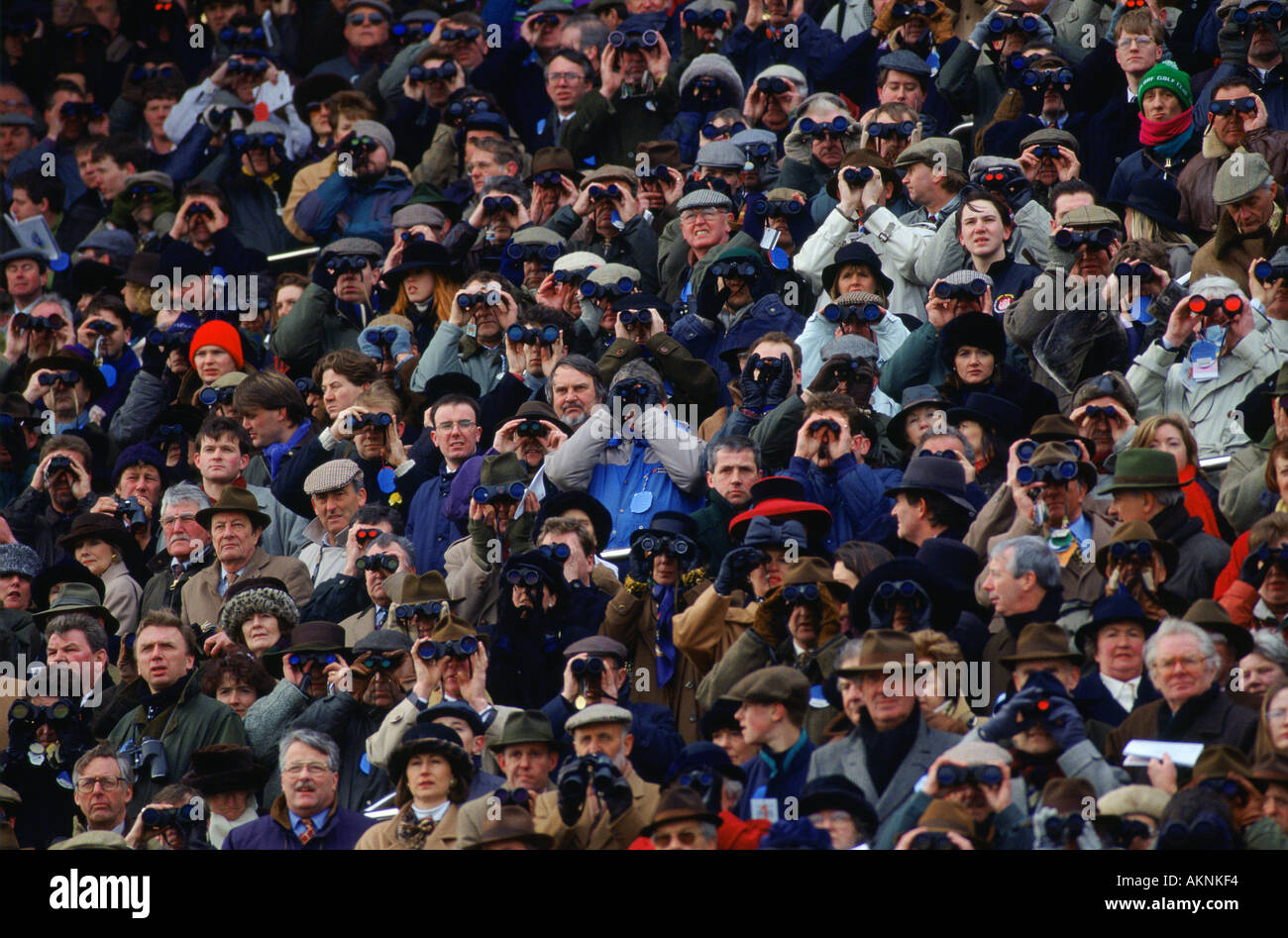 Racegoers watch racing Courses à Cheltenham, Gloucestershire Royaume Uni Banque D'Images