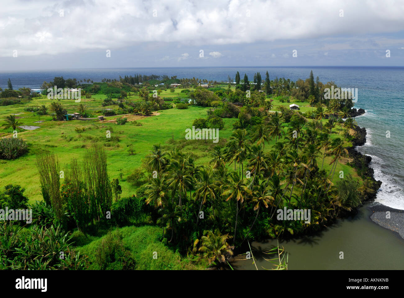Correctifs et taro fermes sur keanae peninsula maui hawaii Banque D'Images