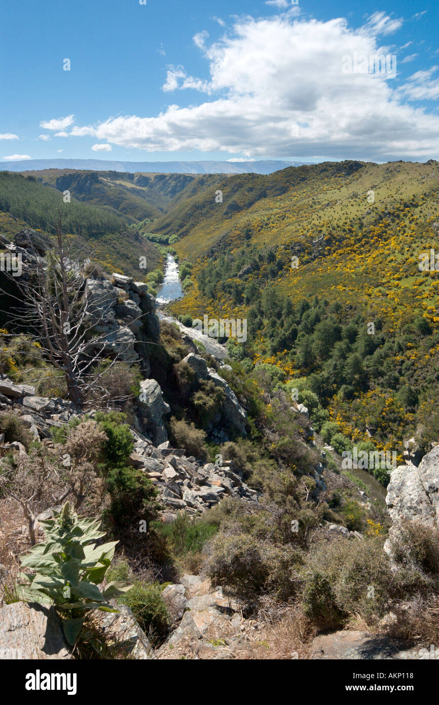 Vue depuis la piste sur le Taieri Gorge Railway de Dunedin, Otago, île du Sud, Nouvelle-Zélande Banque D'Images