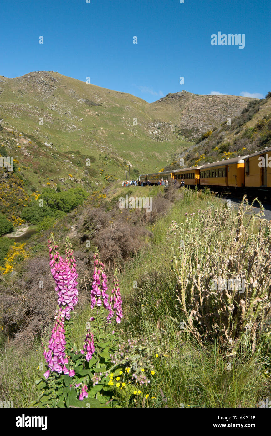 Taieri Gorge Railway de Dunedin, Otago, île du Sud, Nouvelle-Zélande Banque D'Images