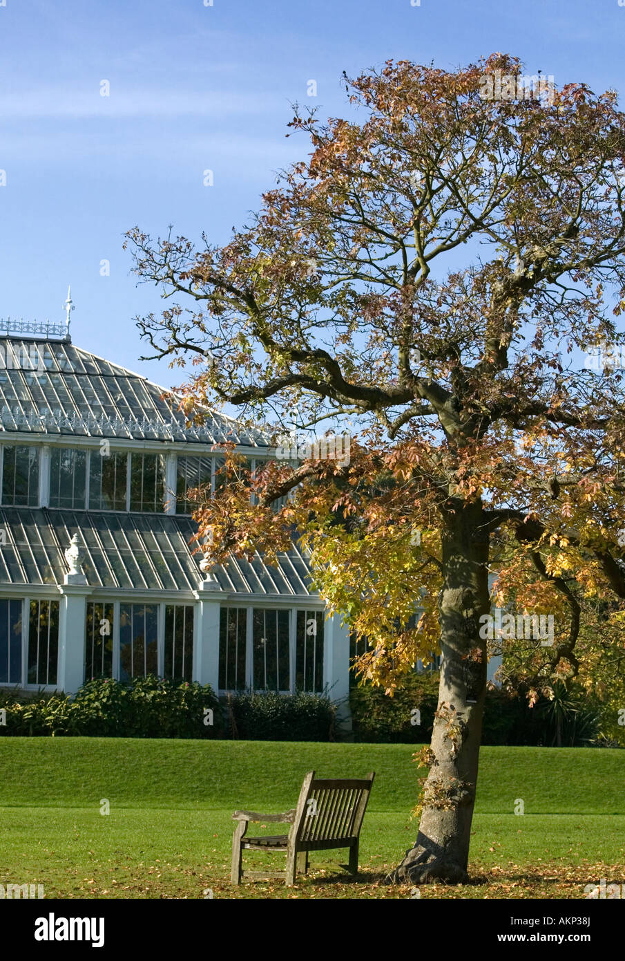 Royal Botanic Gardens Kew House tempérées Banque D'Images