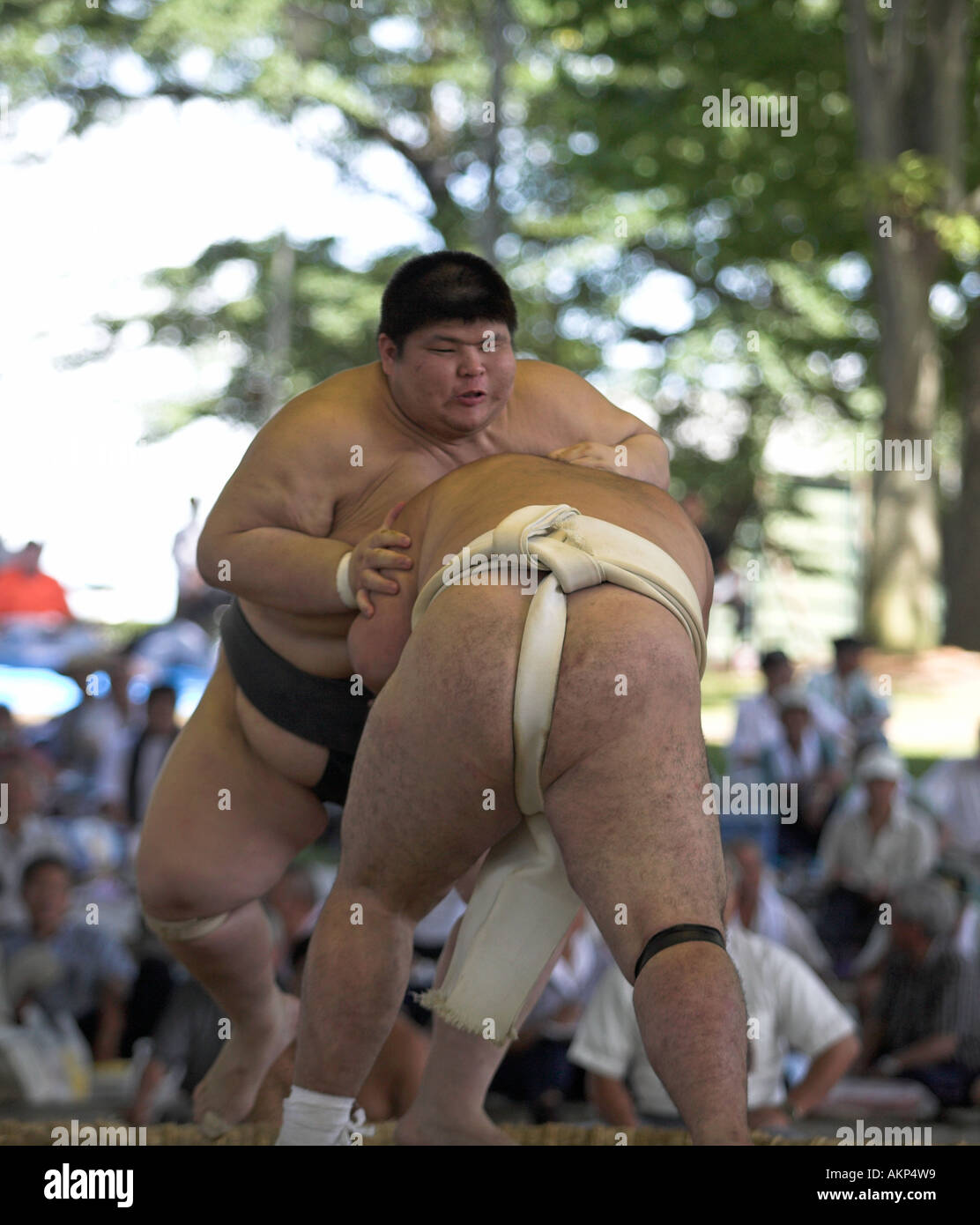 L'ensemble de l'université tournoi de sumo japonais towada city wrestling lutteurs lutte la lutte contre la concurrence à l'extérieur de sport amateur Banque D'Images