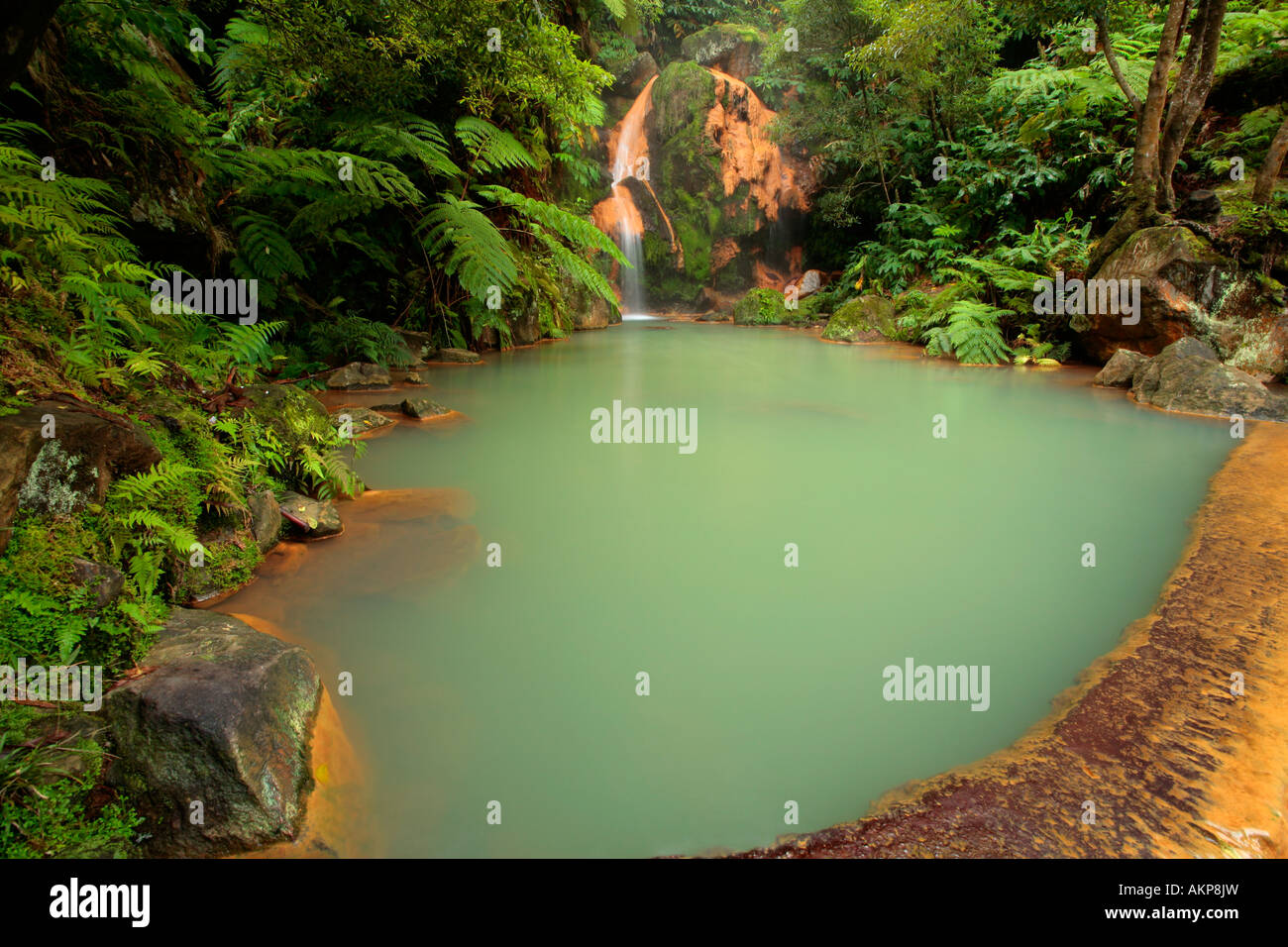 La piscine thermale dans la Caldeira Velha Monument Naturel. L'île de São Miguel, Açores, Portugal Banque D'Images