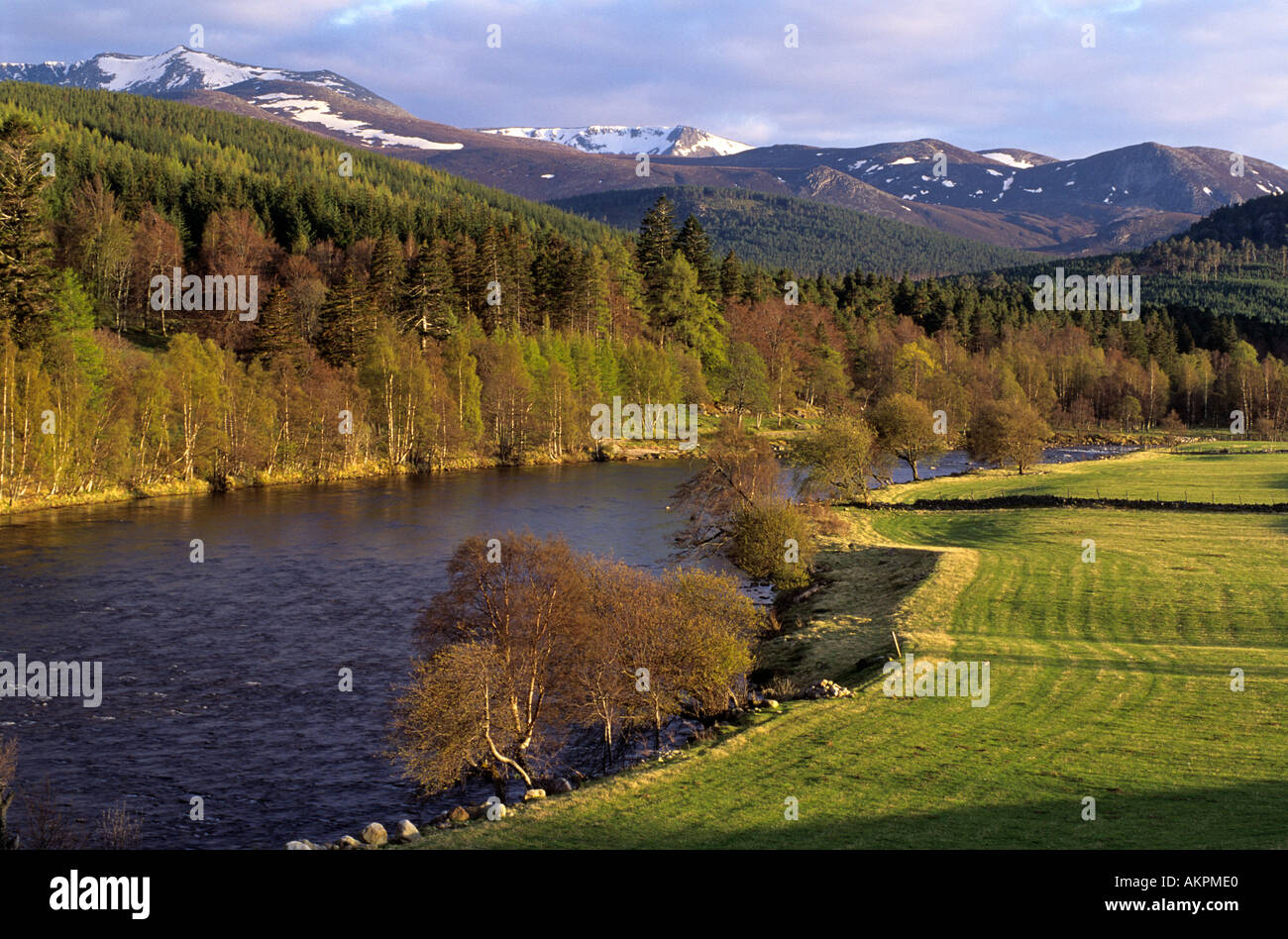 Paysage montagnard écossais - de l'autre côté de la rivière Dee à Lochnagar, parc national de Cairngorms, Royal Deeside, Écosse. ROYAUME-UNI Banque D'Images