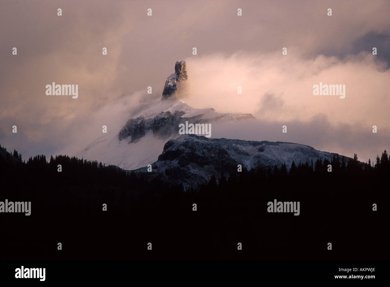 Pic à tête de lézard, montagnes de San Juan, au Colorado Banque D'Images