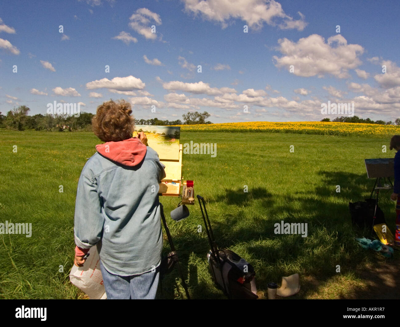 Une femme artiste peinture d'un champ de tournesol sur un après-midi d'été Banque D'Images