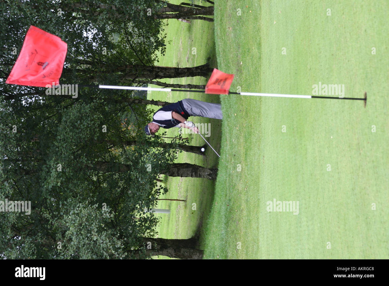 Une balle de golf chipping une pente sur le green Banque D'Images