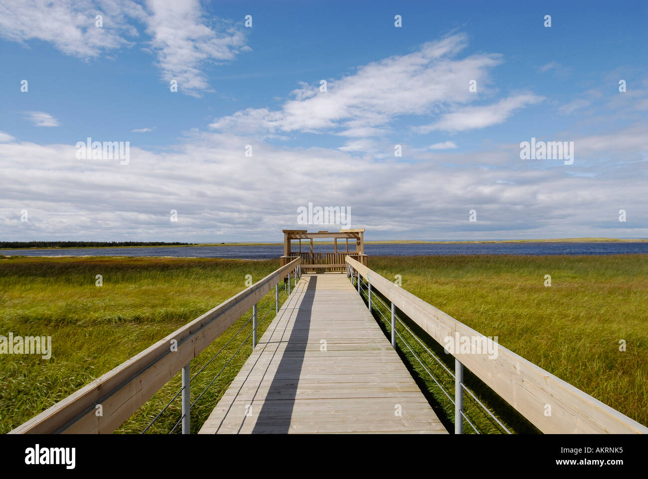 Image d'une promenade sur une tourbière sur l'Île Miscou Nouveau-Brunswick Canada Banque D'Images