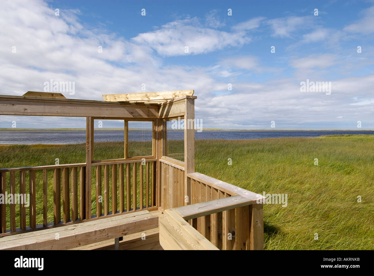 Image d'une promenade sur une tourbière sur l'Île Miscou Nouveau-Brunswick Canada Banque D'Images