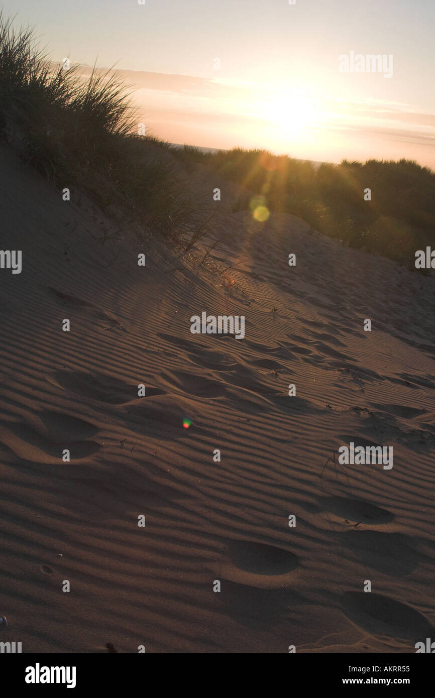 Coucher du soleil sur une plage avec des empreintes dans le sable Banque D'Images